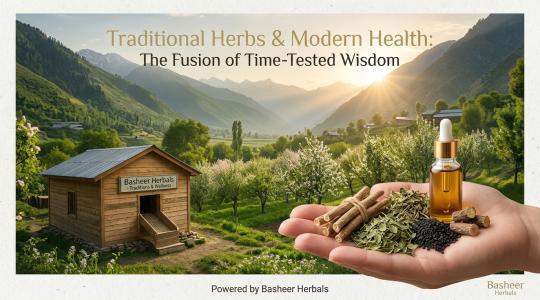 How Traditional Eastern Herbs Support Modern Health